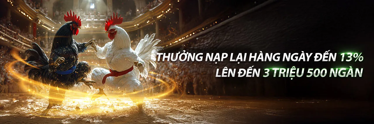 Đá gà trực tiếp C4 hôm nay sôi động